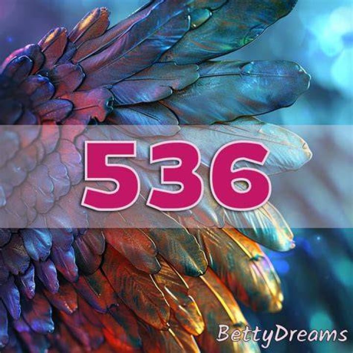 ANGEL NUMBER 536 ·