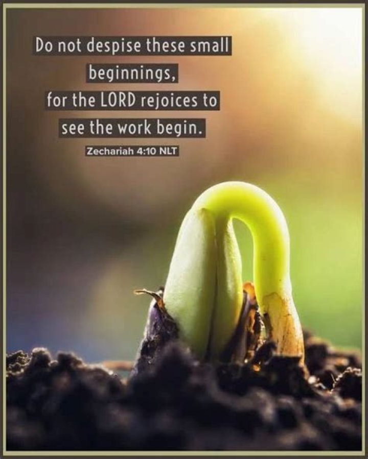 Do not despise these small beginnings. Zechariah 410 Verse Quotes