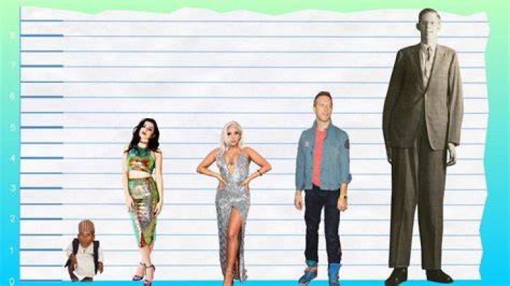 How tall is Charli XCX ·